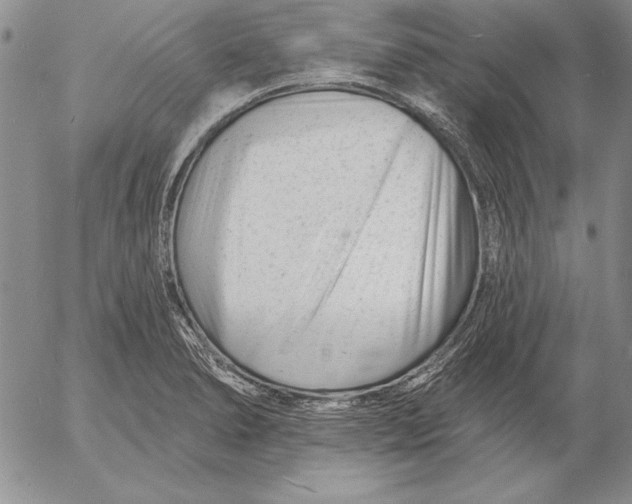 X0000053001278200507291633