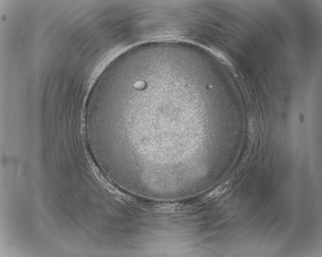 X0000053001279200507291633