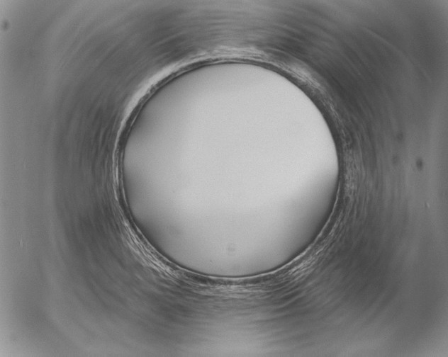 X0000053001280200507291633