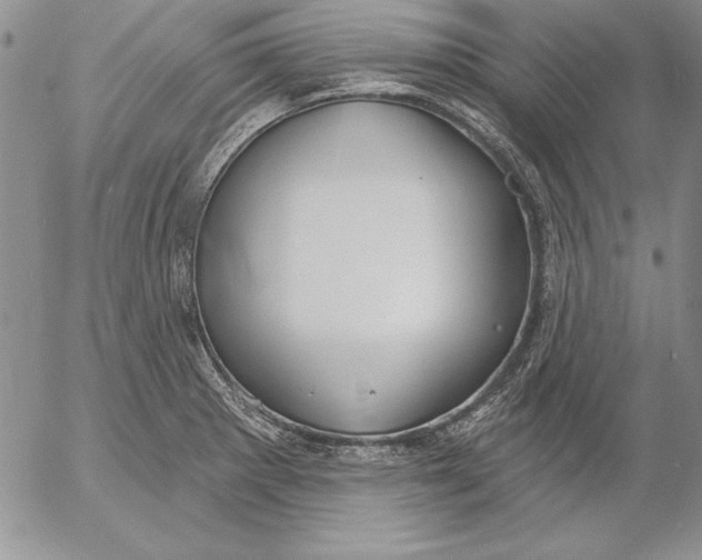 X0000053001281200507291633