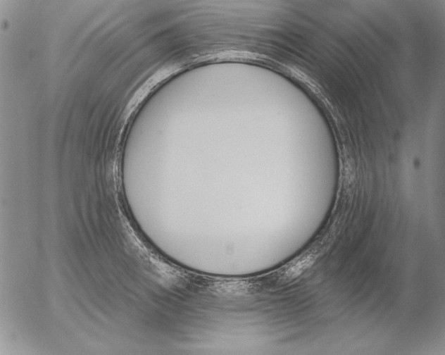 X0000053001282200507291633