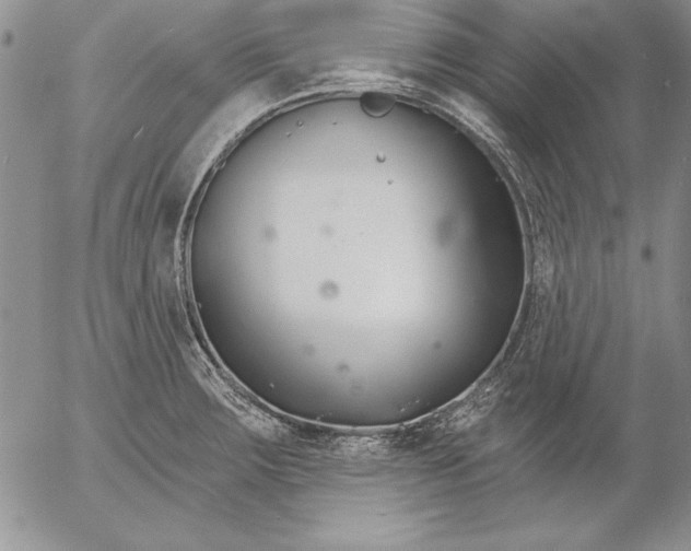 X0000053001283200507291633