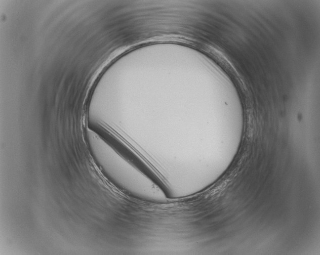 X0000053001284200507291633