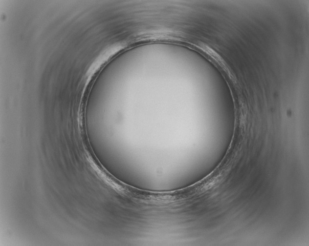 X0000053001285200507291633