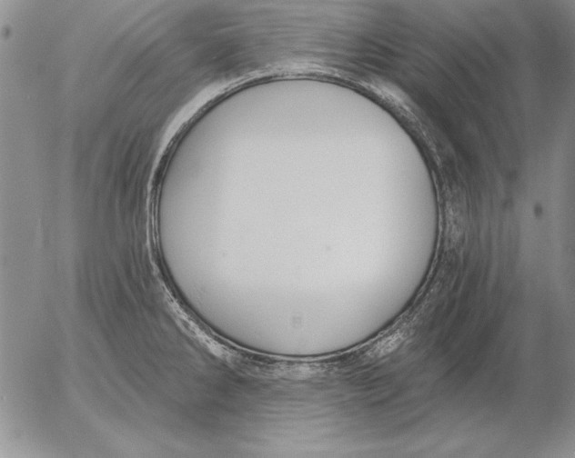 X0000053001286200507291633