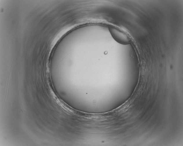 X0000053001287200507291633