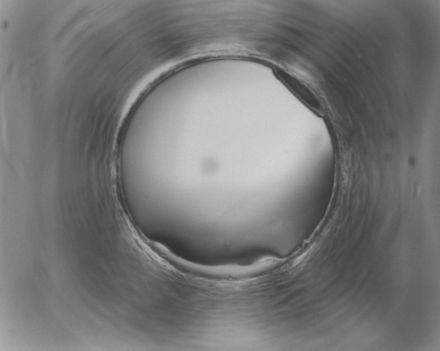 X0000053001288200507291633