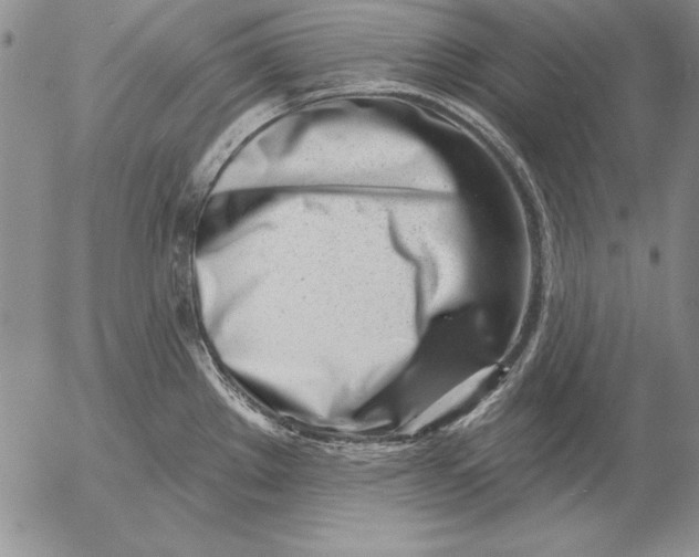 X0000053001289200507291633