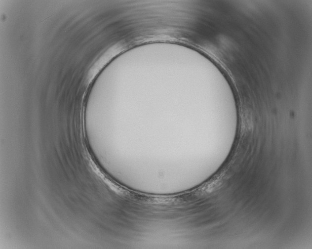 X0000053001290200507291633