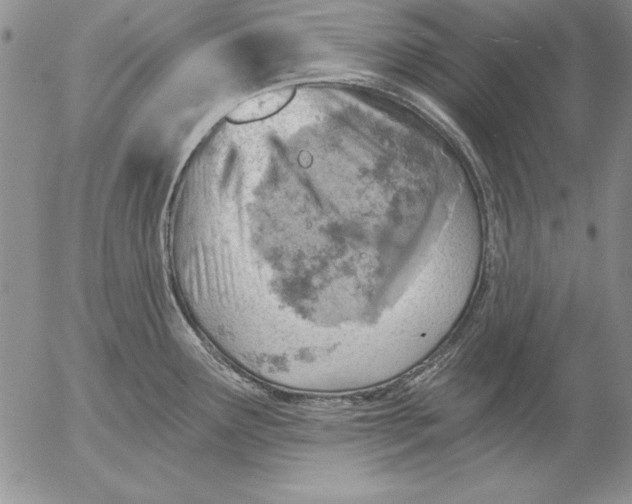 X0000053001291200507291633