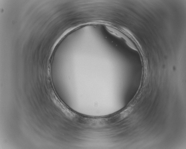 X0000053001292200507291633