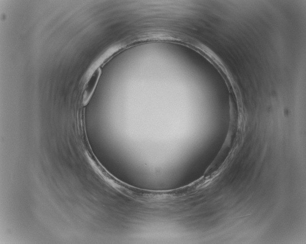 X0000053001293200507291633