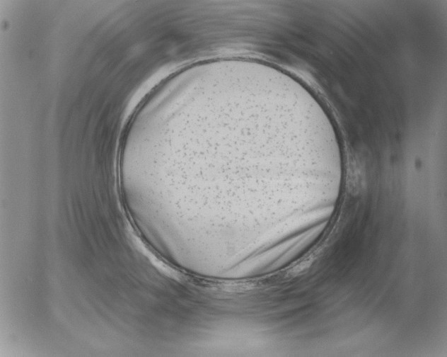 X0000053001294200507291633