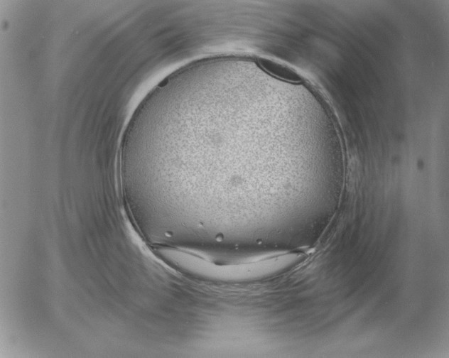 X0000053001295200507291633