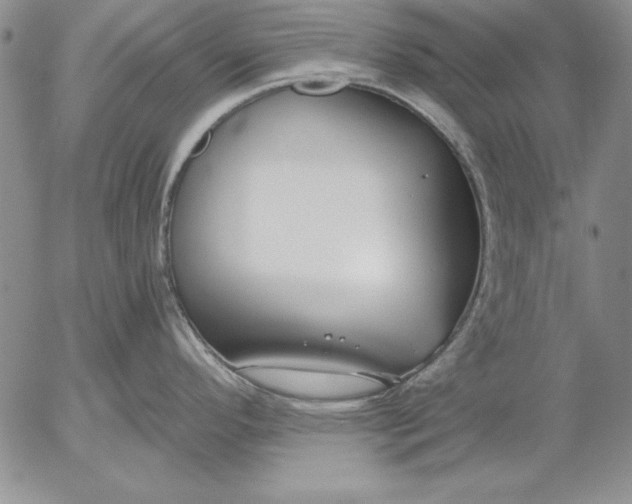 X0000053001296200507291633