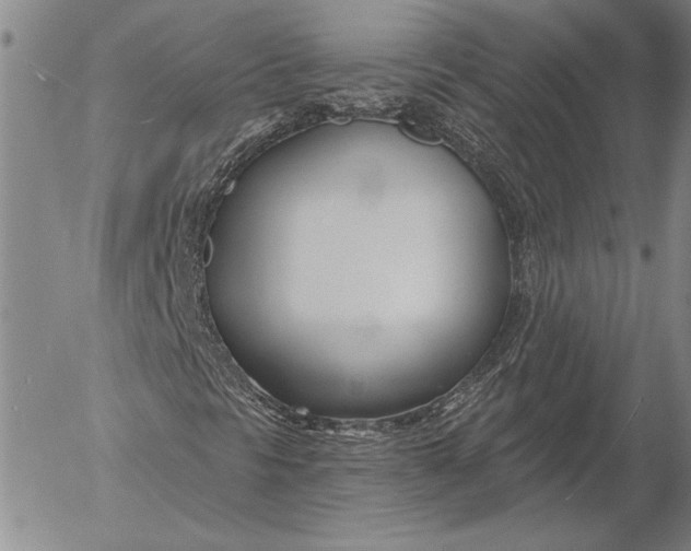 X0000053001297200507291632