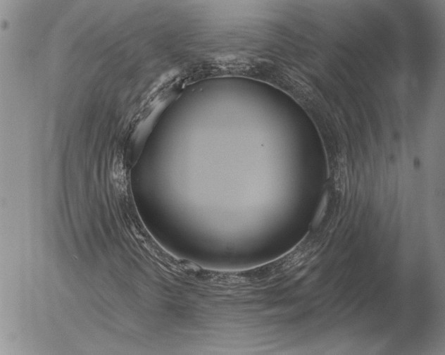 X0000053001298200507291632