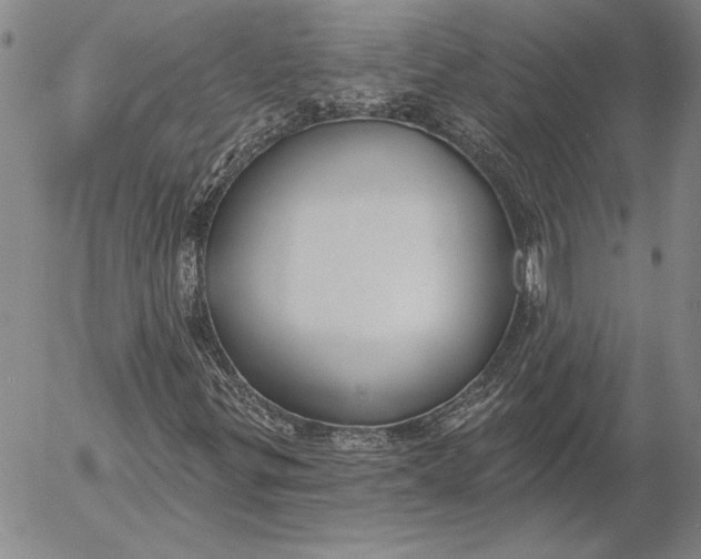 X0000053001299200507291632