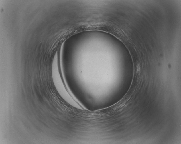 X0000053001300200507291632