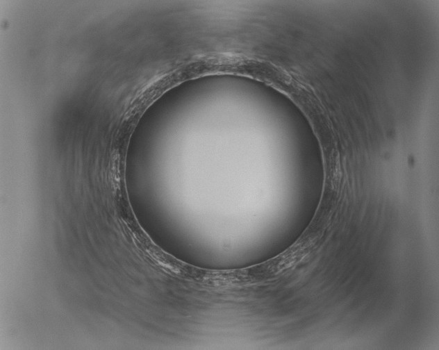 X0000053001301200507291632