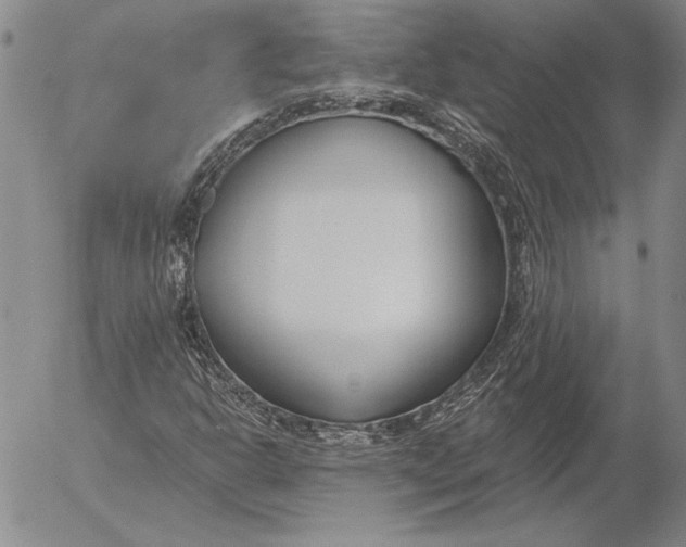 X0000053001302200507291632