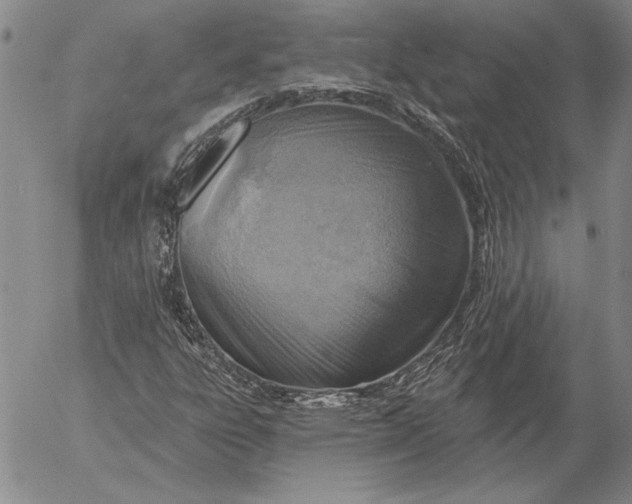 X0000053001303200507291632