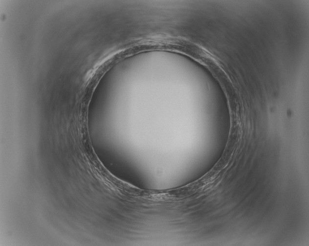 X0000053001304200507291632