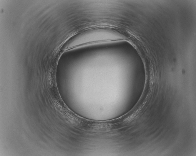 X0000053001305200507291632