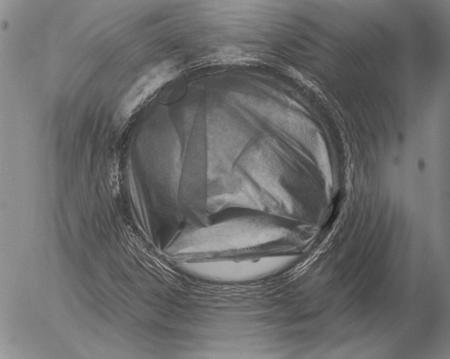 X0000053001306200507291632