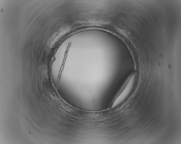 X0000053001307200507291632