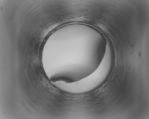 X0000053001308200507291632