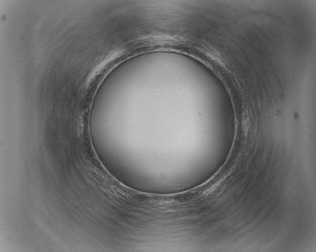 X0000053001309200507291632