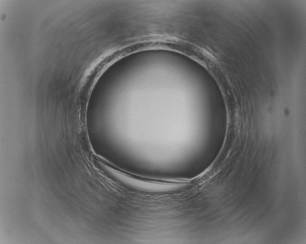 X0000053001310200507291632