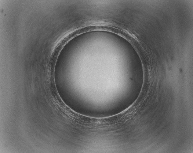 X0000053001311200507291632