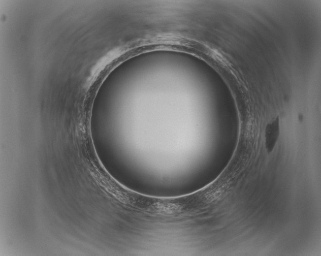 X0000053001312200507291632