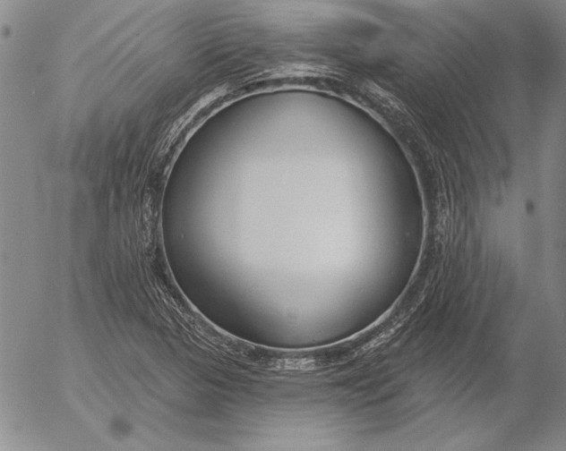 X0000053001313200507291632