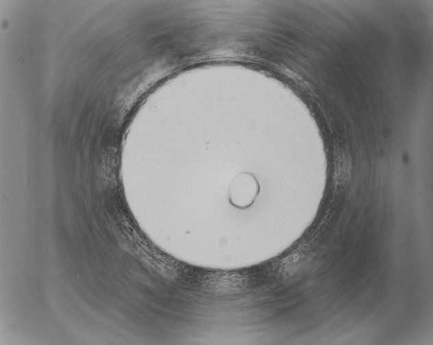 X0000053001314200507291632