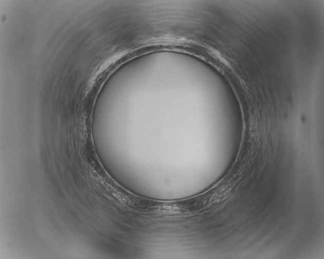 X0000053001315200507291632