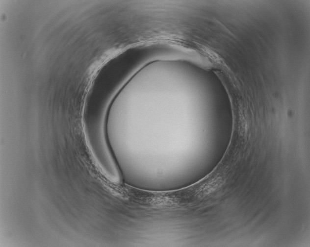 X0000053001316200507291632