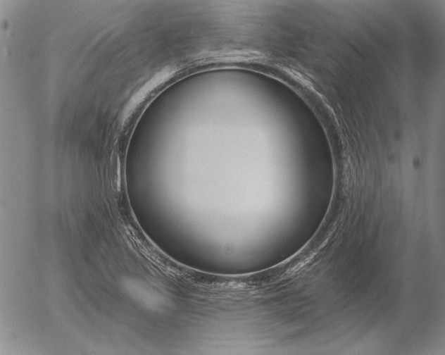 X0000053001317200507291632