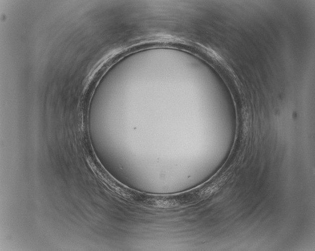 X0000053001318200507291632