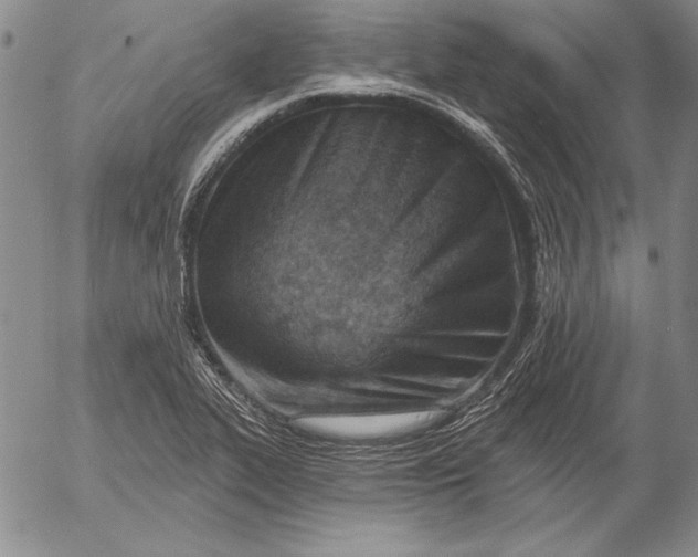 X0000053001319200507291632