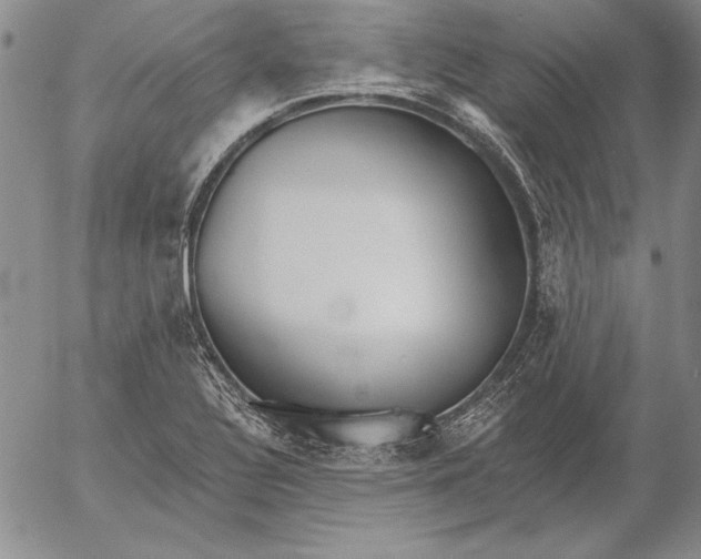 X0000053001320200507291632