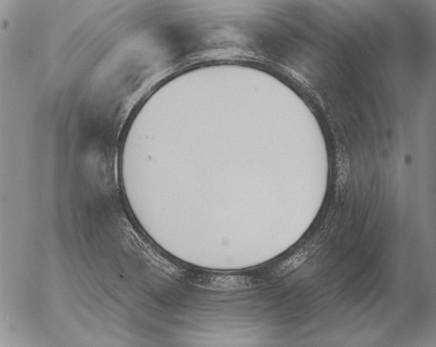 X0000053001322200507291632