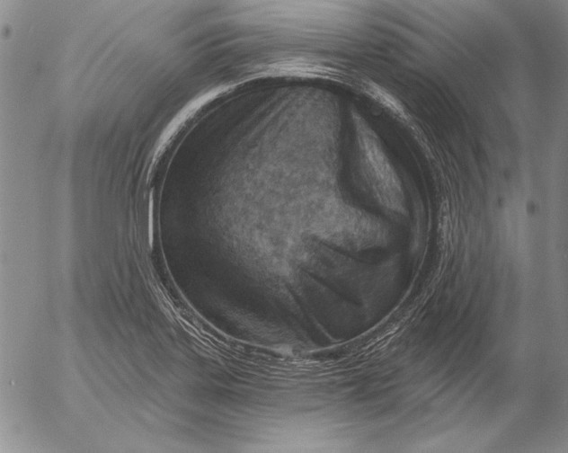 X0000053001323200507291632