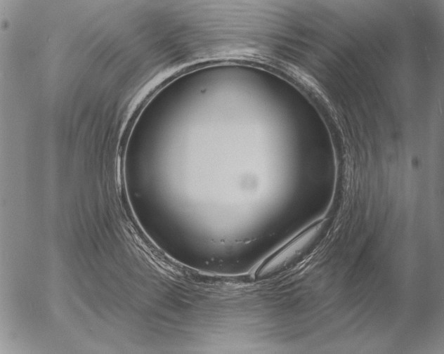 X0000053001324200507291632