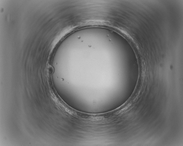 X0000053001325200507291632