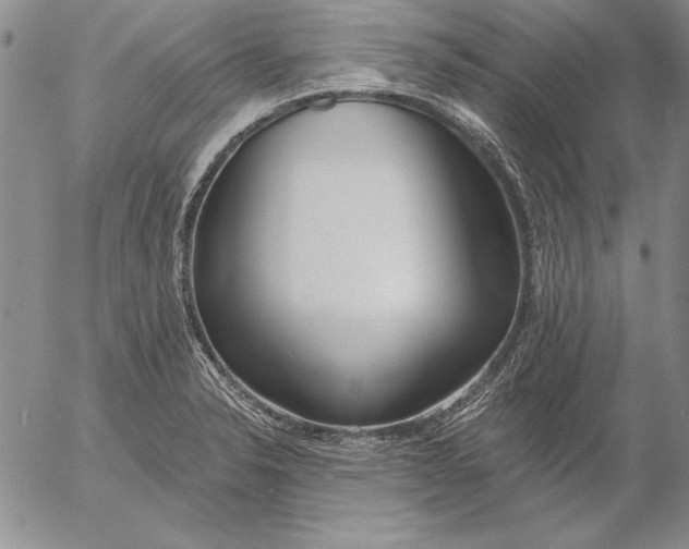 X0000053001326200507291632