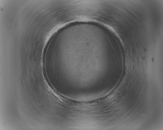 X0000053001327200507291632