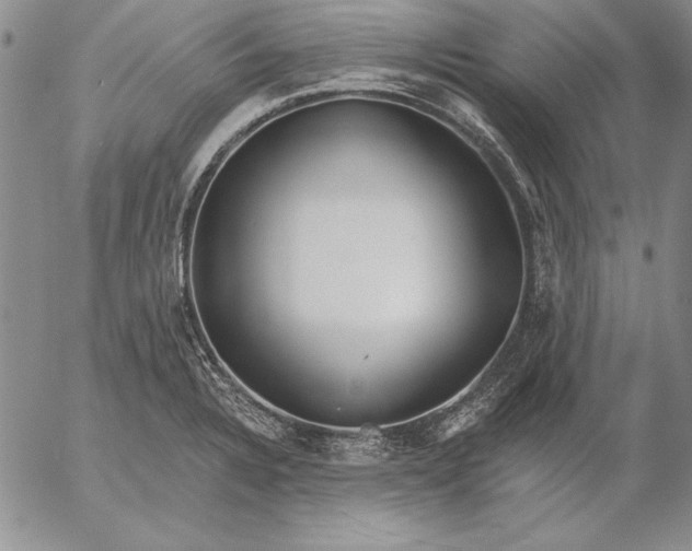 X0000053001328200507291632